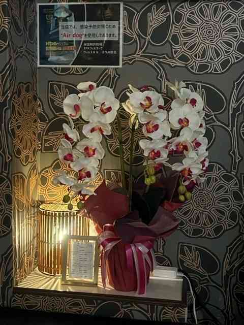 鹿児島のSANCKアドリブgallery11